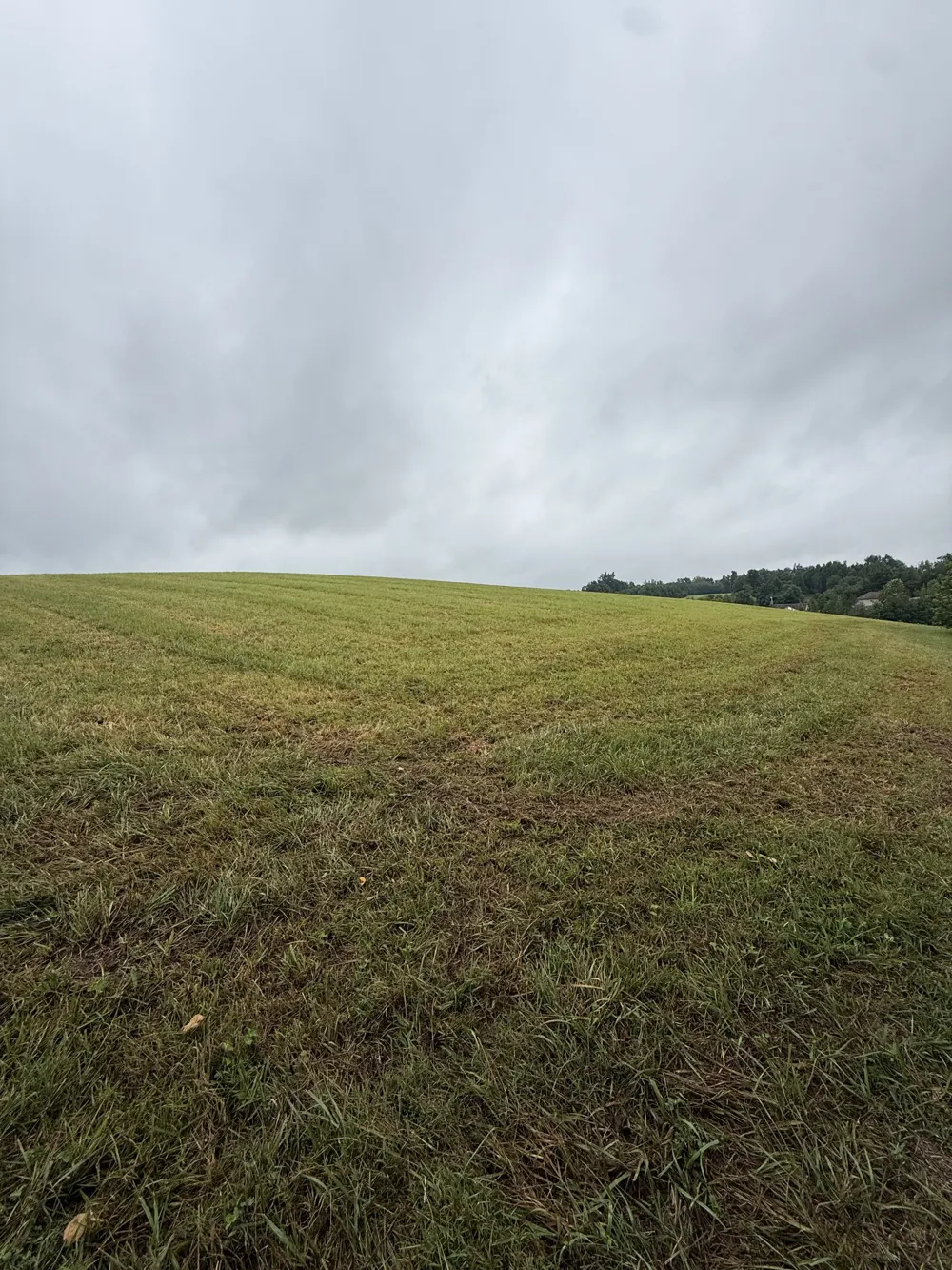 0 Rock Bridge Rd Bethpage, TN 37022