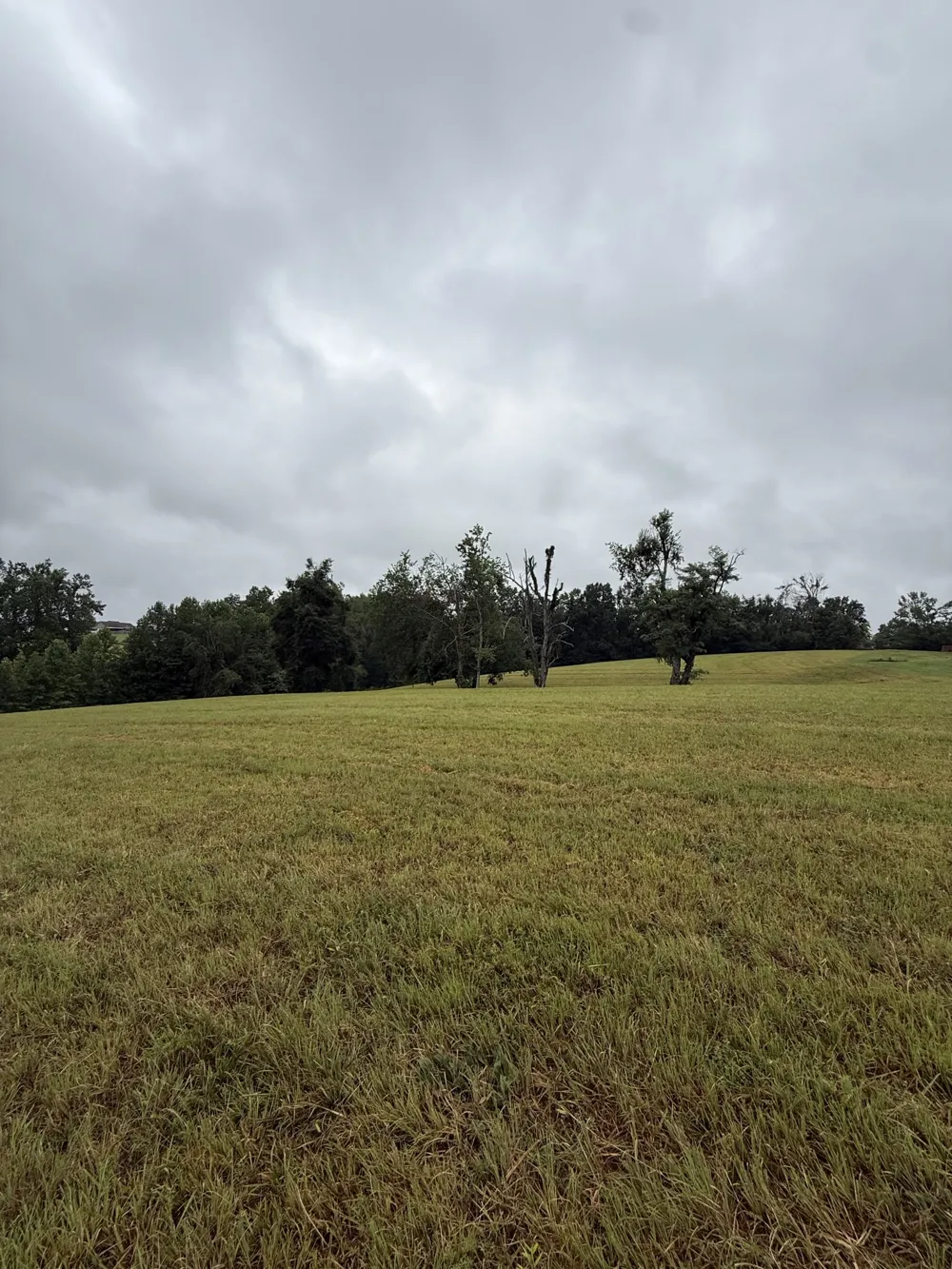0 Rock Bridge Rd Bethpage, TN 37022