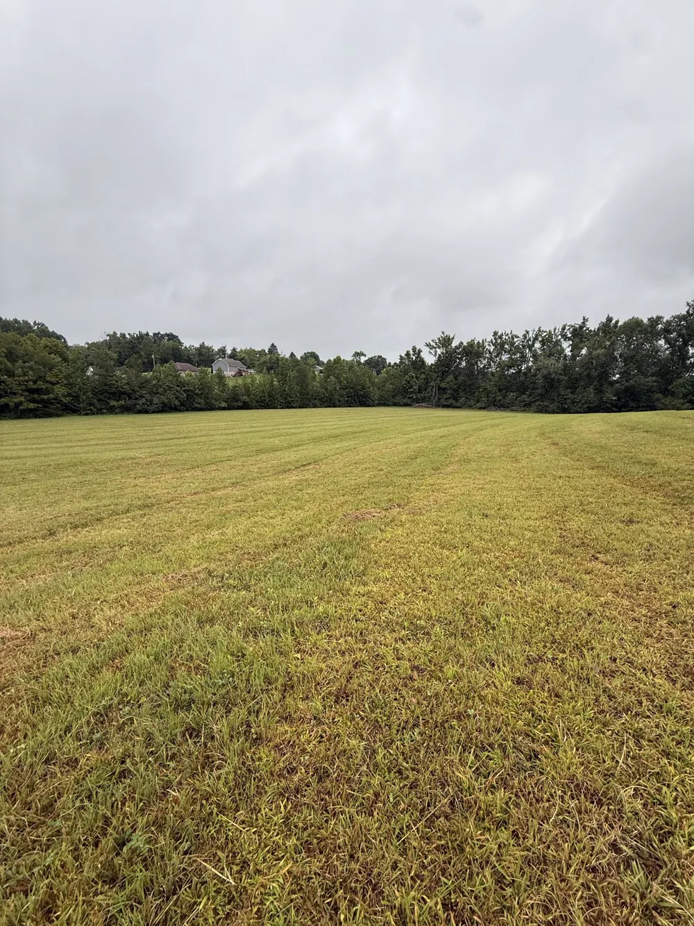 0 Rock Bridge Rd Bethpage, TN 37022