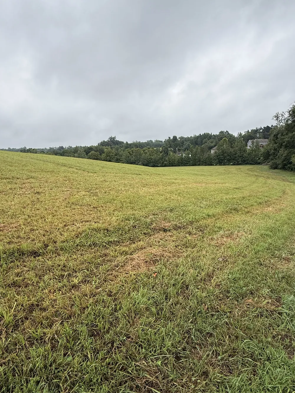 0 Rock Bridge Rd Bethpage, TN 37022