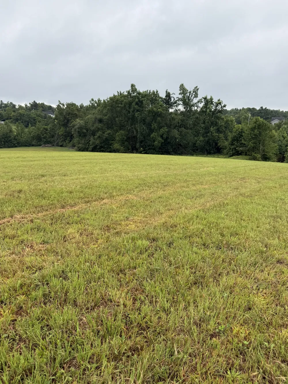 0 Rock Bridge Rd Bethpage, TN 37022
