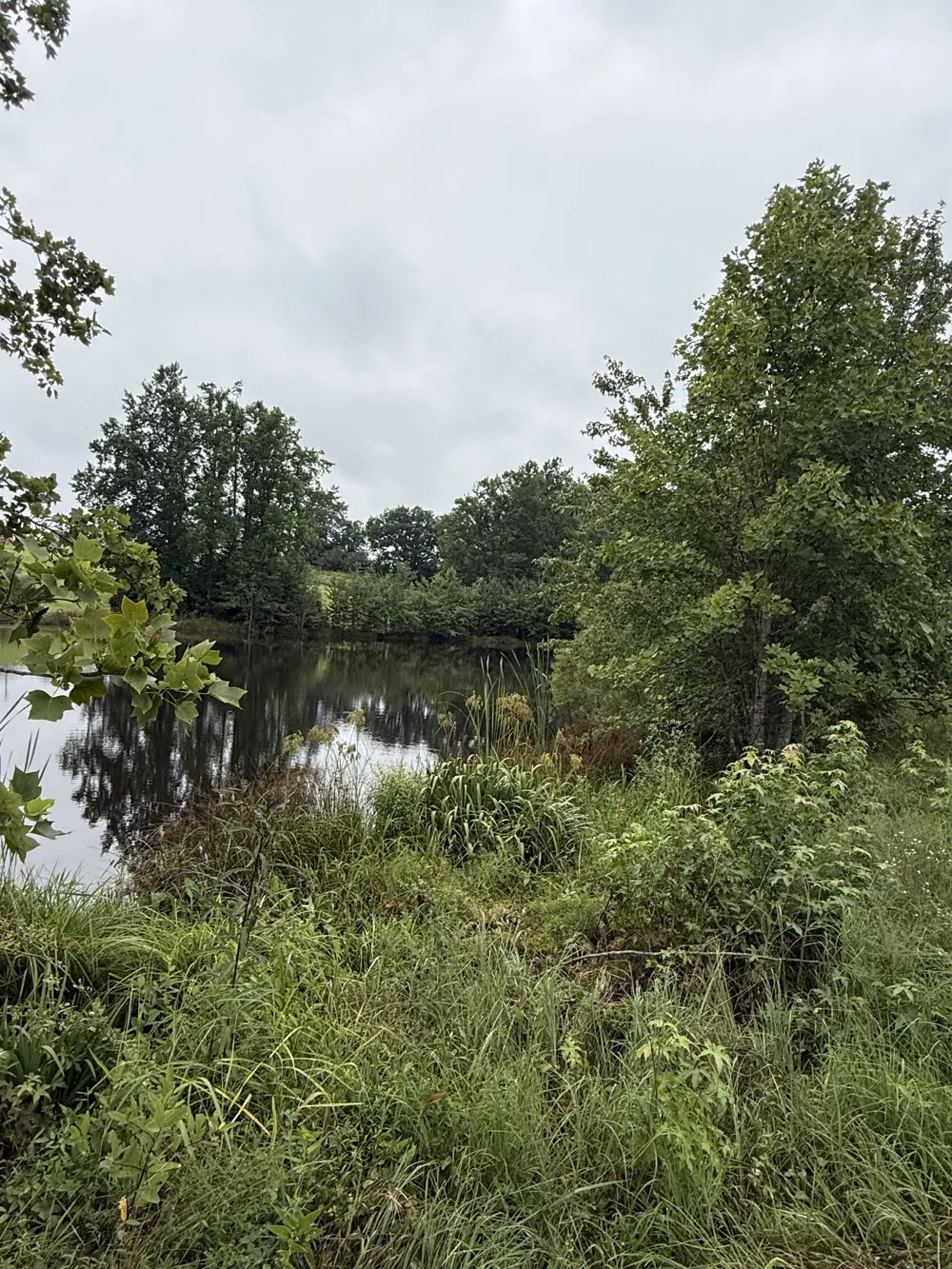 0 Rock Bridge Rd Bethpage, TN 37022