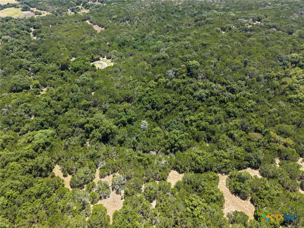 Greenbriar Road Gatesville, TX 76528