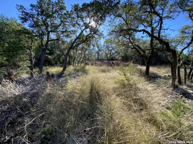 970 W Branch XING Spring Branch, TX 78070