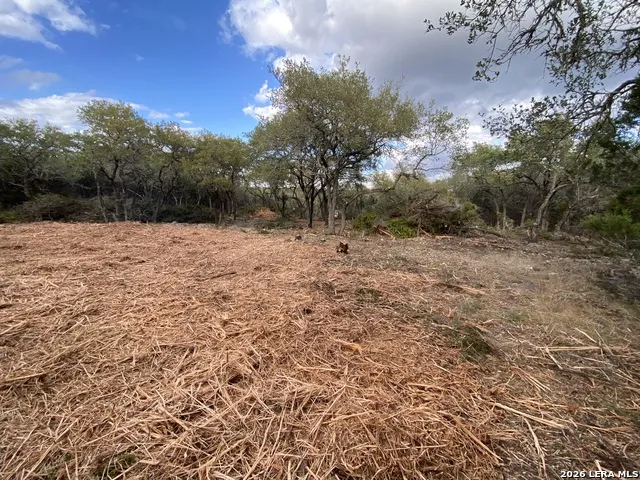 970 W Branch XING Spring Branch, TX 78070