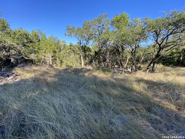 970 W Branch XING Spring Branch, TX 78070
