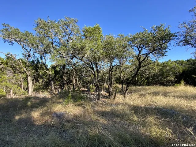 970 W Branch XING Spring Branch, TX 78070