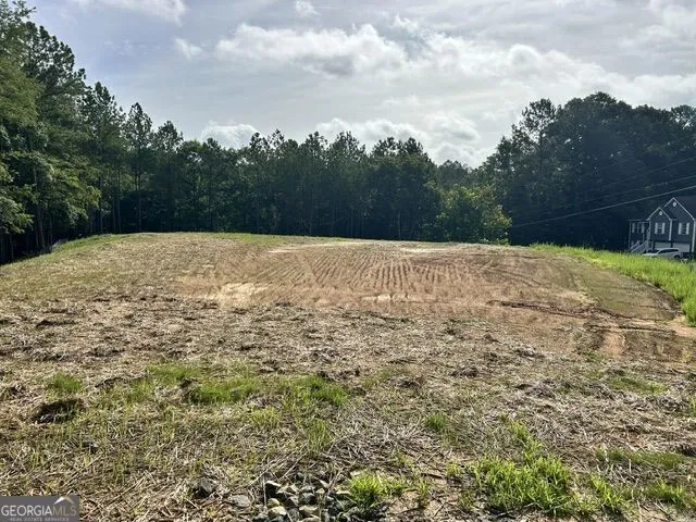 389 Timothy DR Dallas, GA 30132