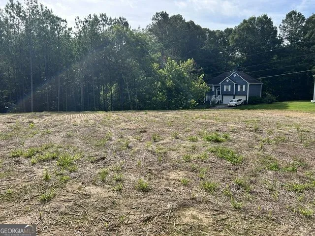 389 Timothy DR Dallas, GA 30132