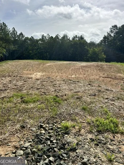 389 Timothy DR Dallas, GA 30132