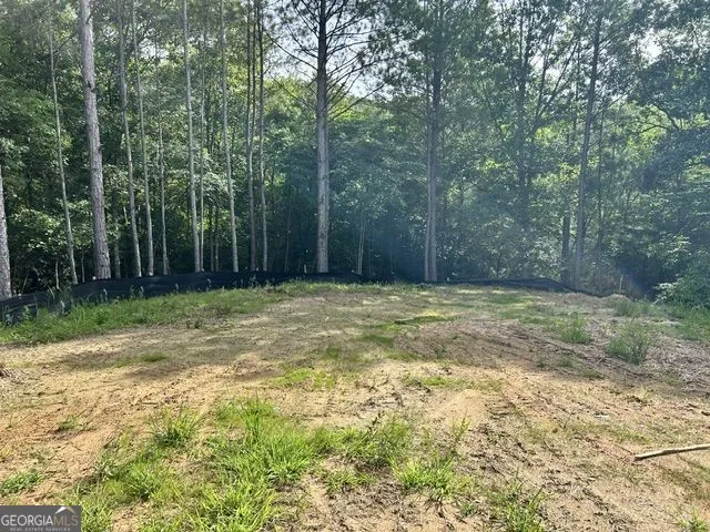 389 Timothy DR Dallas, GA 30132