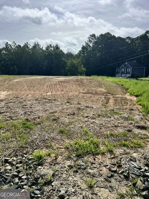 389 Timothy DR Dallas, GA 30132