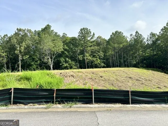 389 Timothy DR Dallas, GA 30132