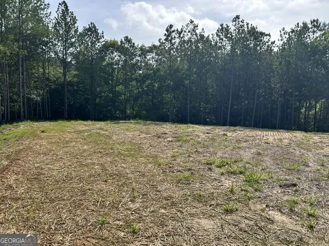 389 Timothy DR Dallas, GA 30132