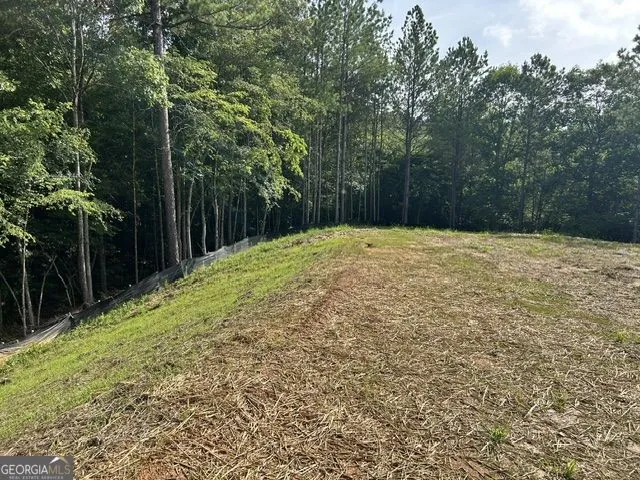 389 Timothy DR Dallas, GA 30132