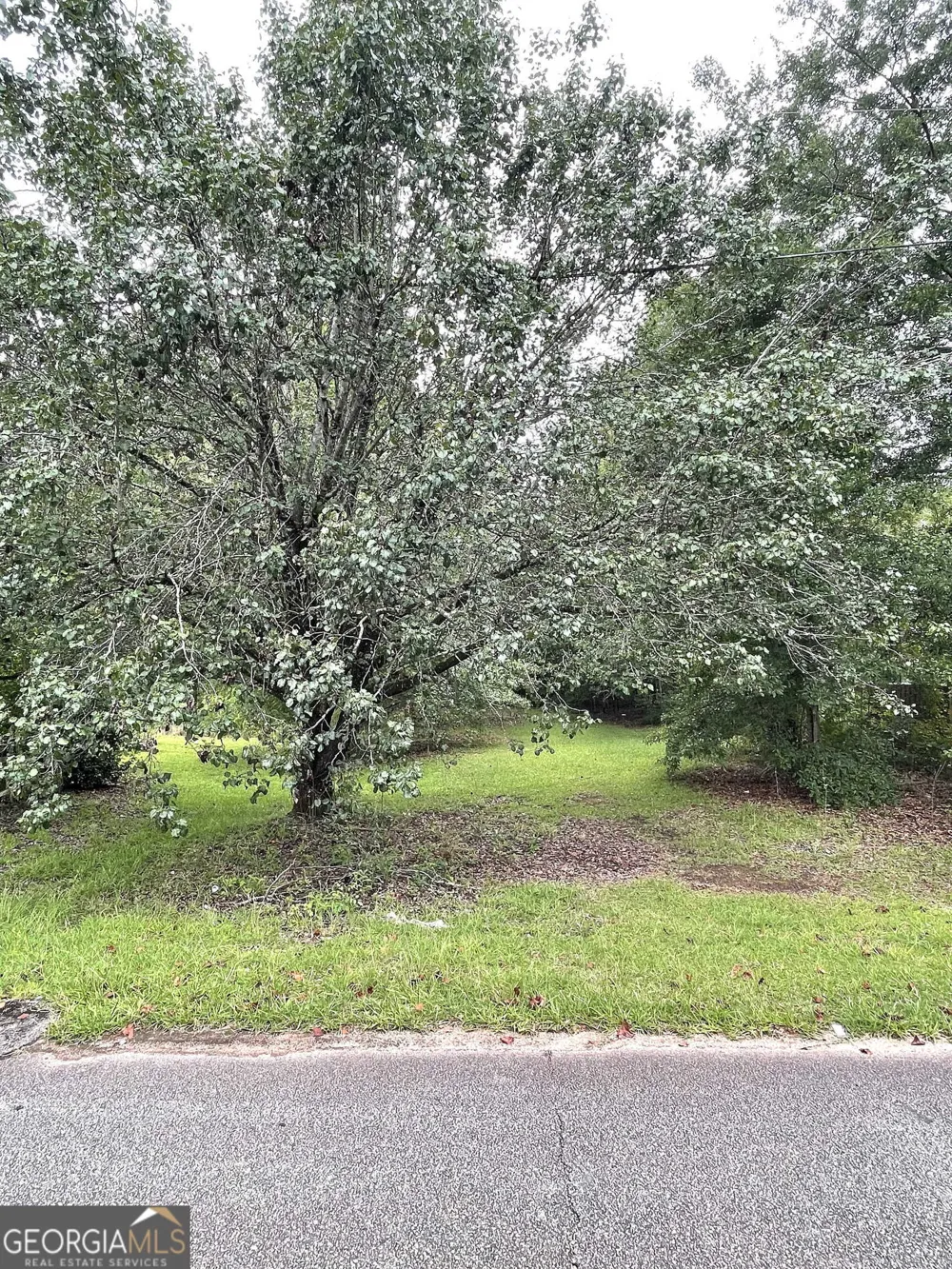 0 Sims ST Barnesville, GA 30204