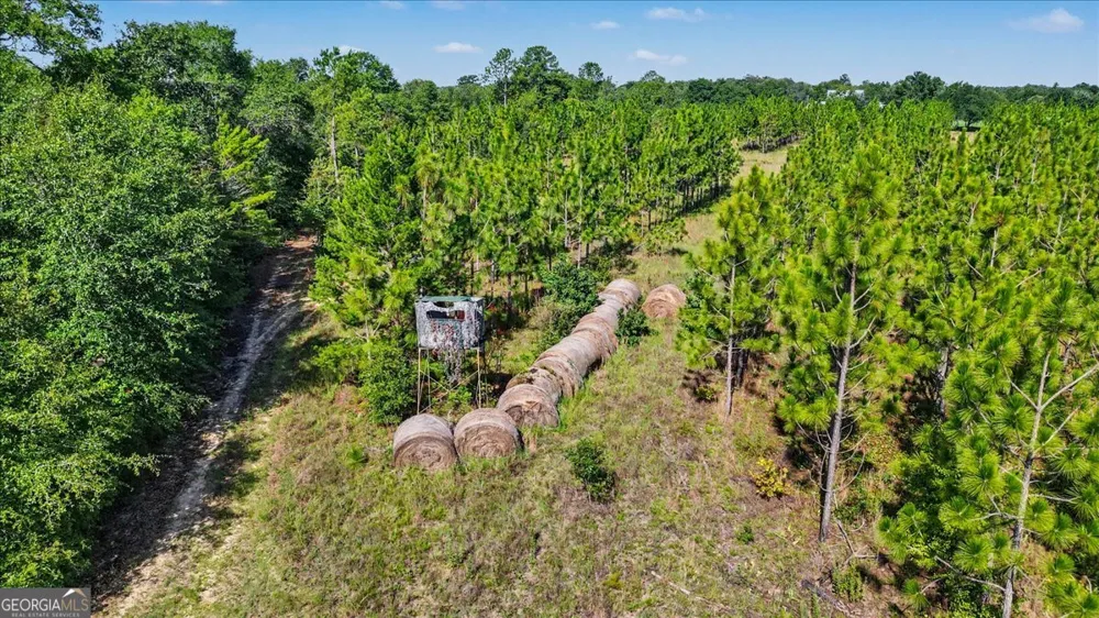 4781 Lj RD Claxton, GA 30417