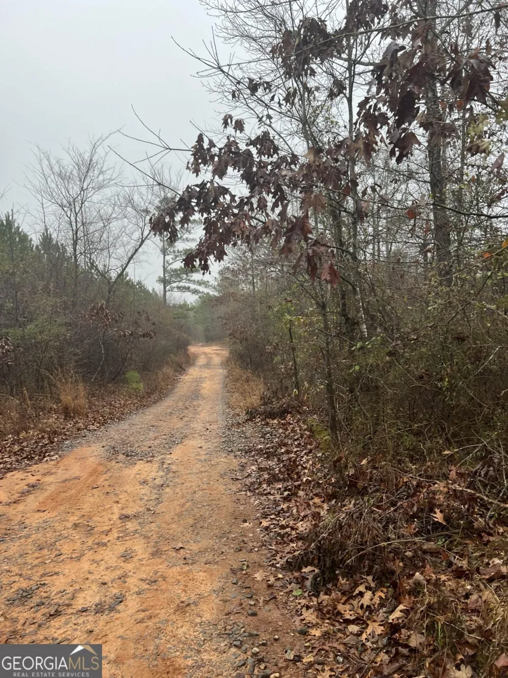 0 Woods DR NW Milledgeville, GA 31061