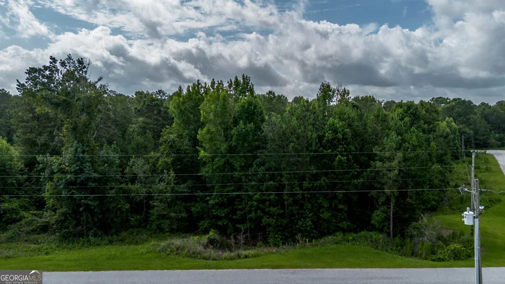 6511 Yellowstone Way Lizella, GA 31052