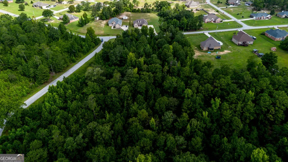 6511 Yellowstone Way Lizella, GA 31052