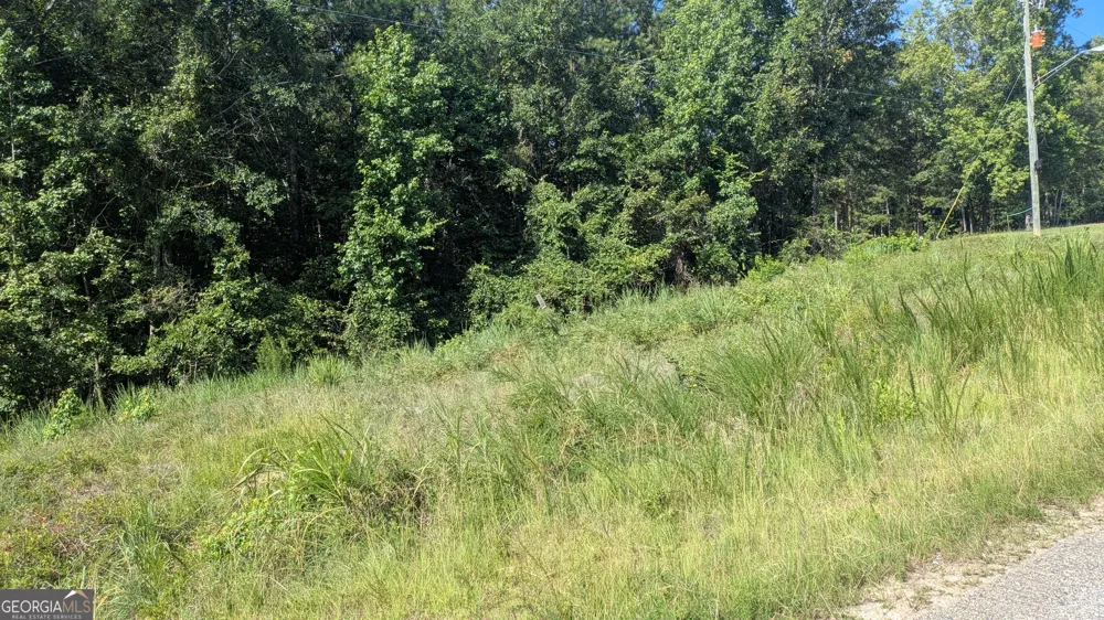 111 Chipper LN Sparta, GA 31087