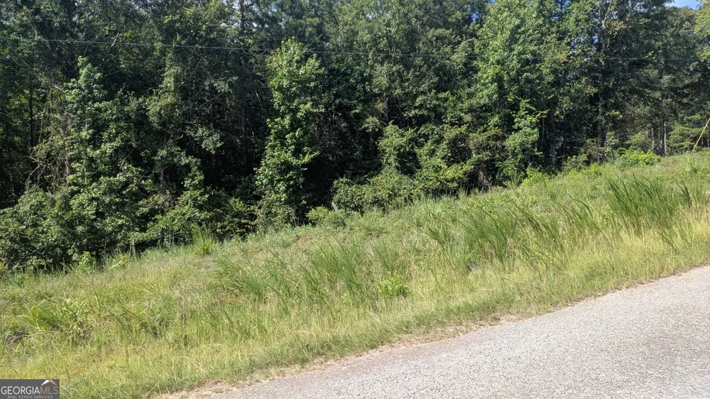 111 Chipper LN Sparta, GA 31087