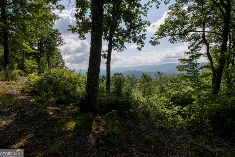 850 Bluff RD