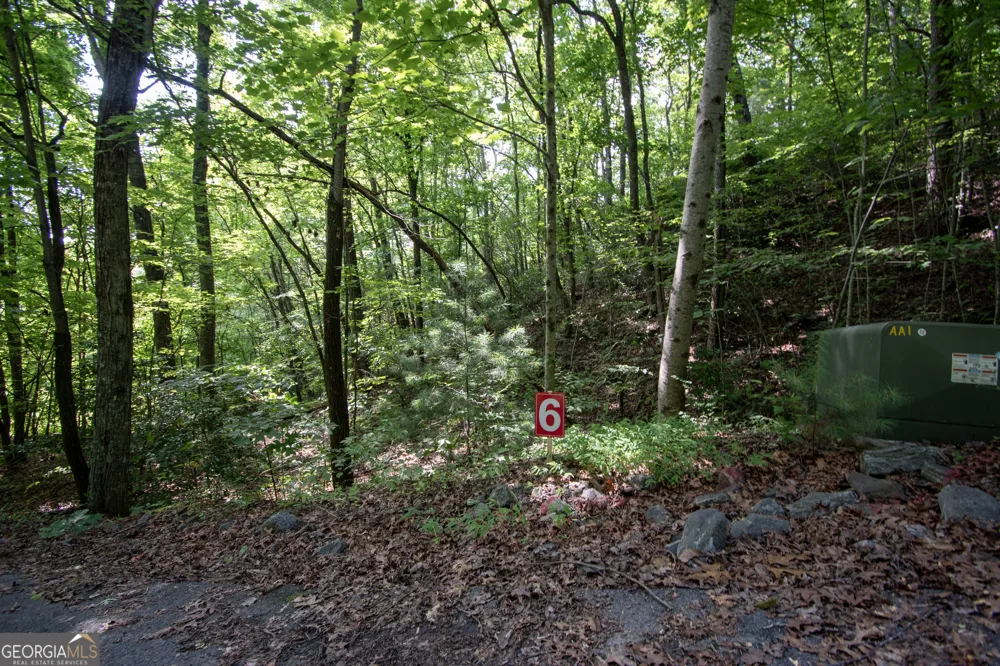 850 Bluff RD Marble, NC 28905