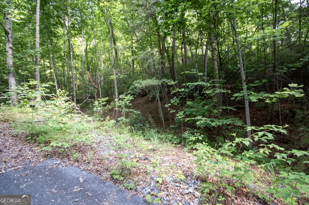 850 Bluff RD Marble, NC 28905