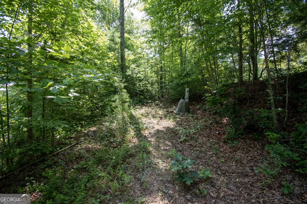 850 Bluff RD Marble, NC 28905