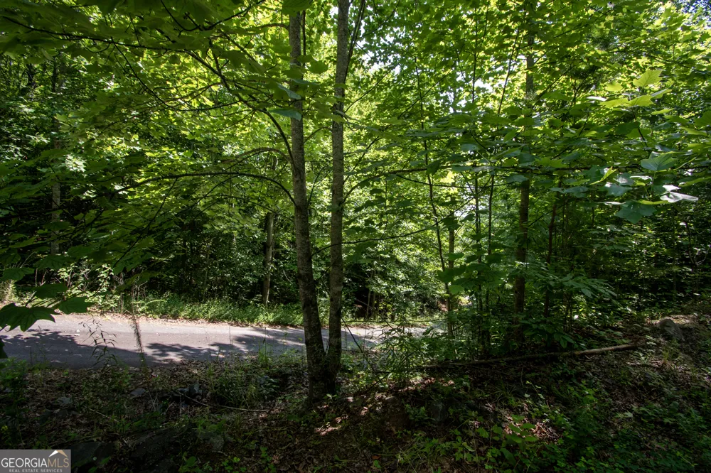 850 Bluff RD Marble, NC 28905