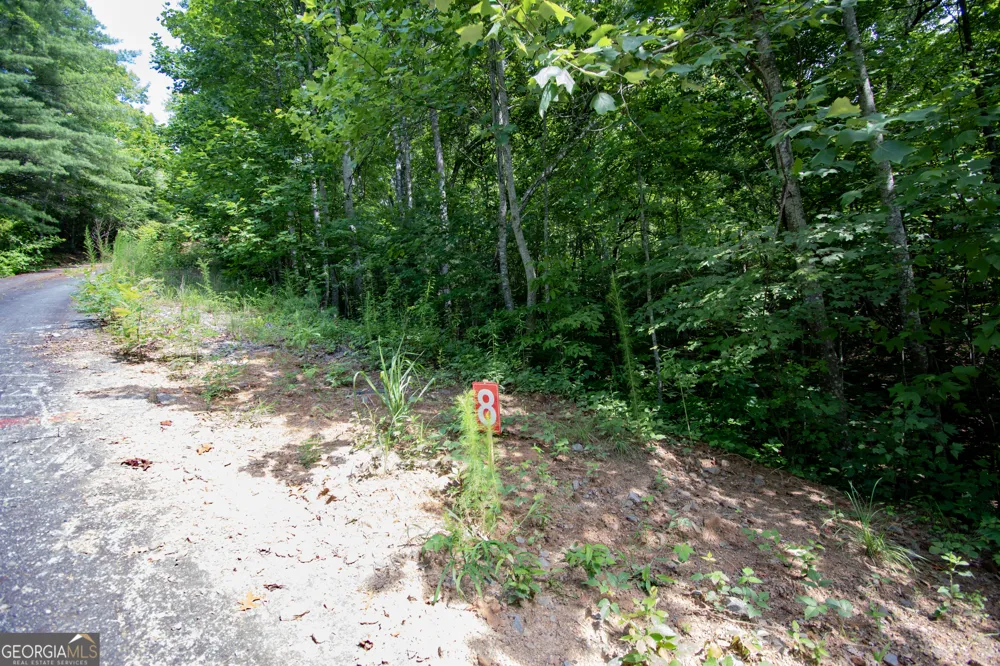 850 Bluff RD Marble, NC 28905