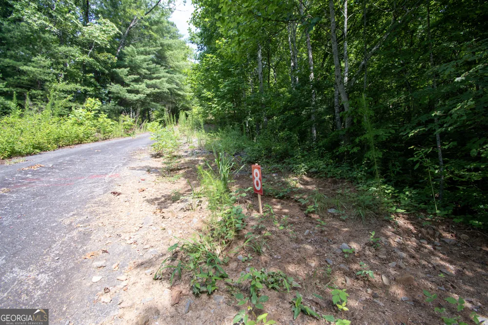 850 Bluff RD Marble, NC 28905