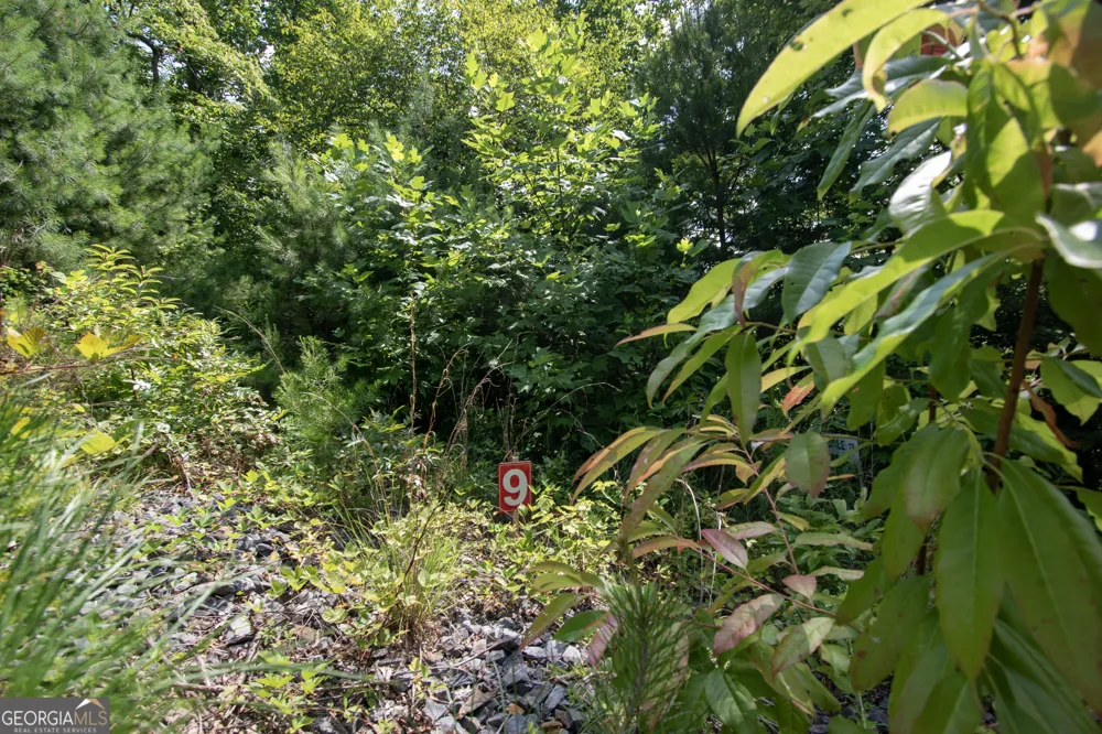 850 Bluff RD Marble, NC 28905