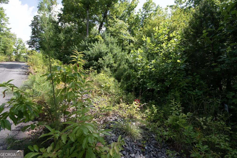 850 Bluff RD Marble, NC 28905