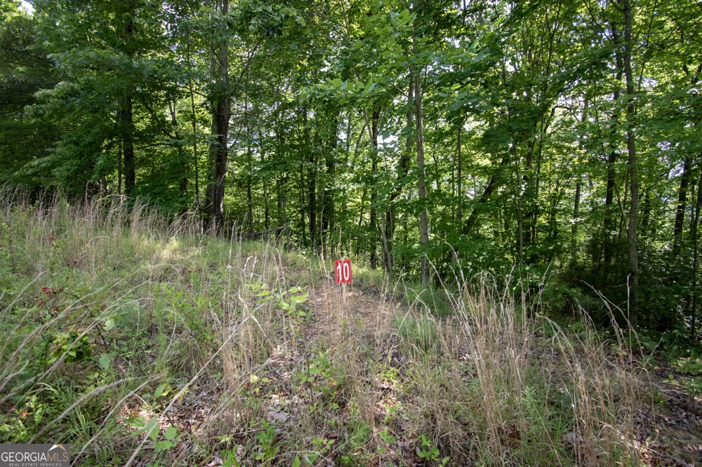 850 Bluff RD Marble, NC 28905