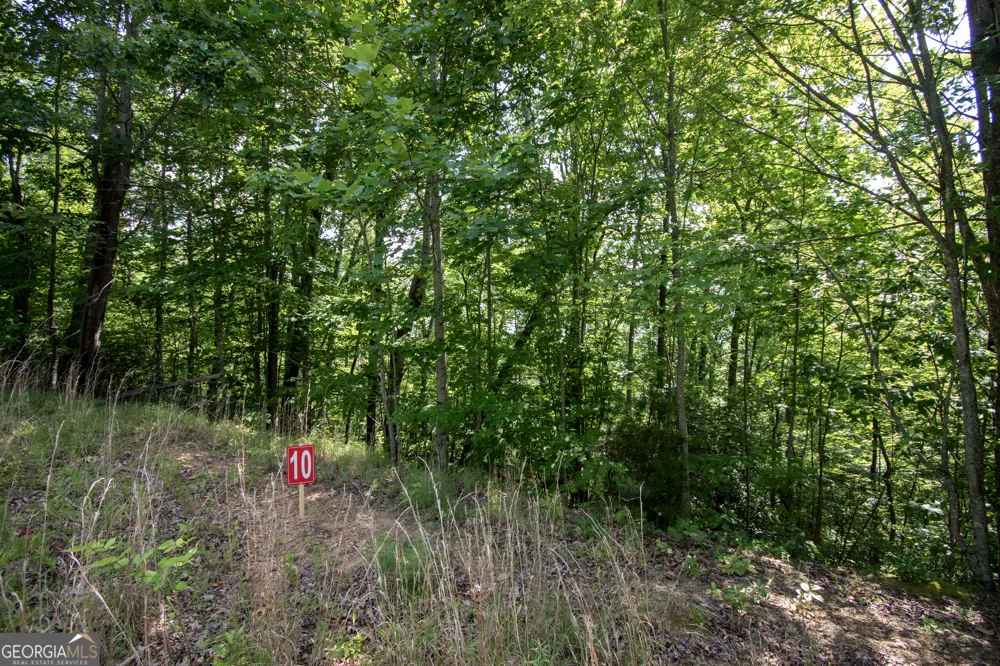 850 Bluff RD Marble, NC 28905