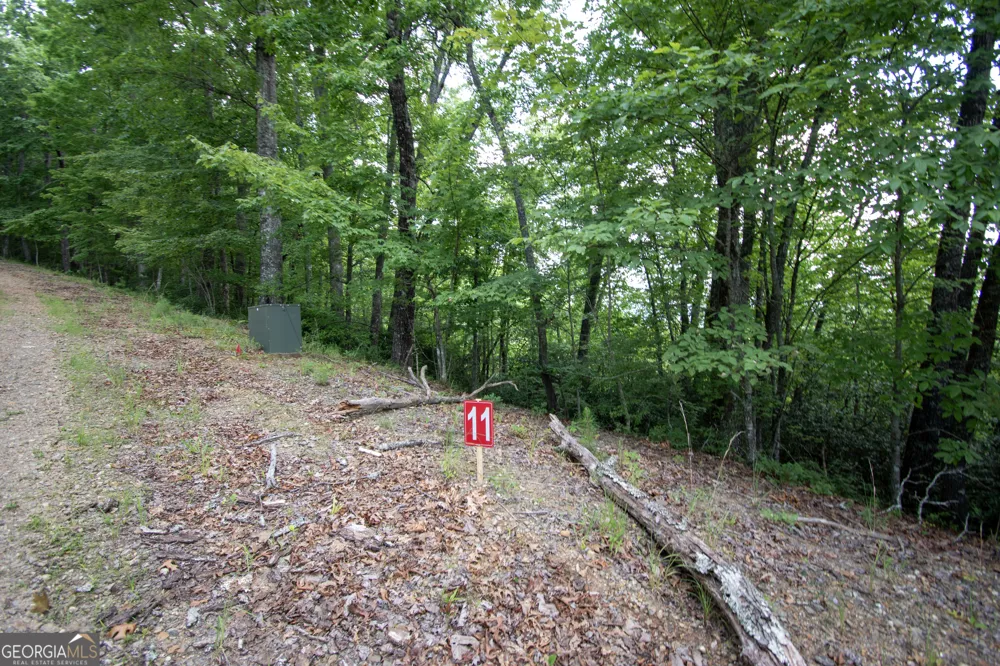 850 Bluff RD Marble, NC 28905