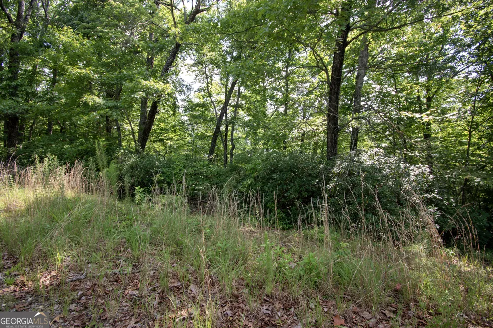 850 Bluff RD Marble, NC 28905
