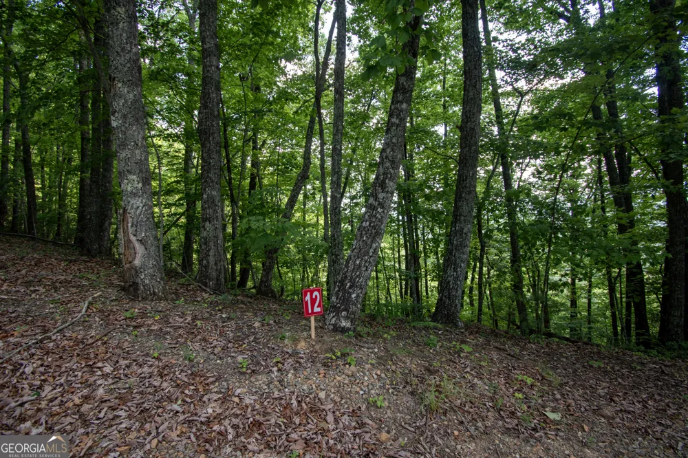 850 Bluff RD Marble, NC 28905