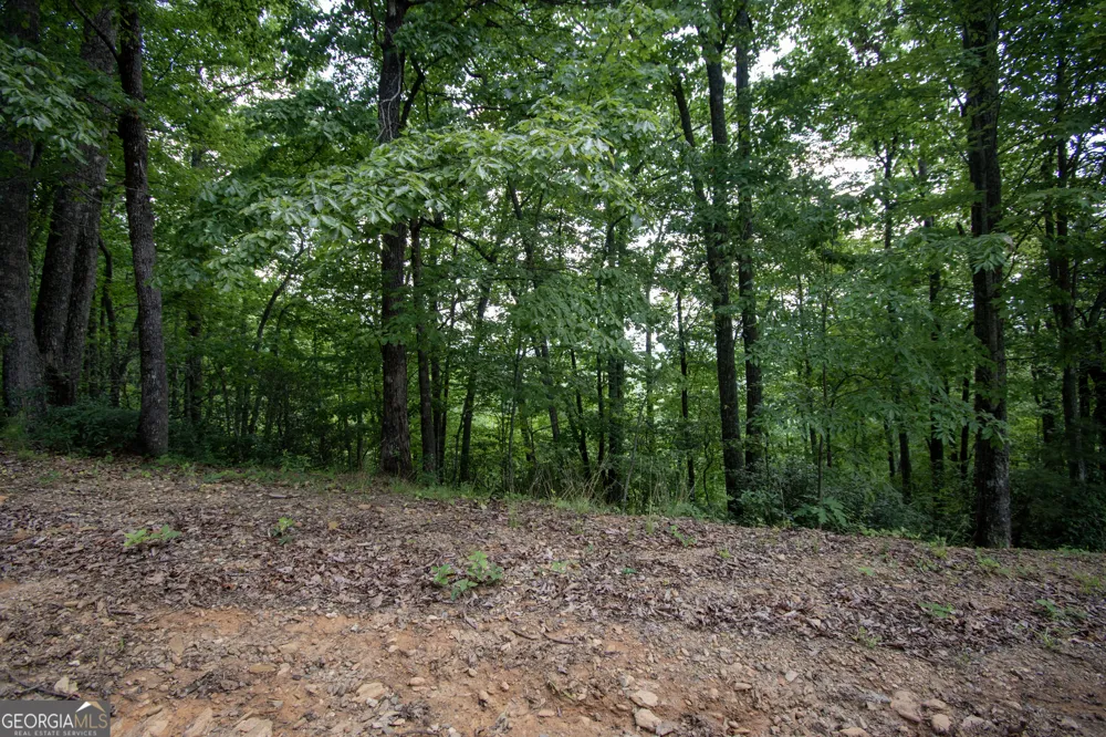 850 Bluff RD Marble, NC 28905