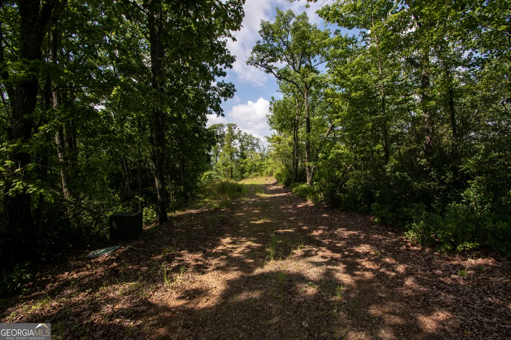 850 Bluff RD Marble, NC 28905