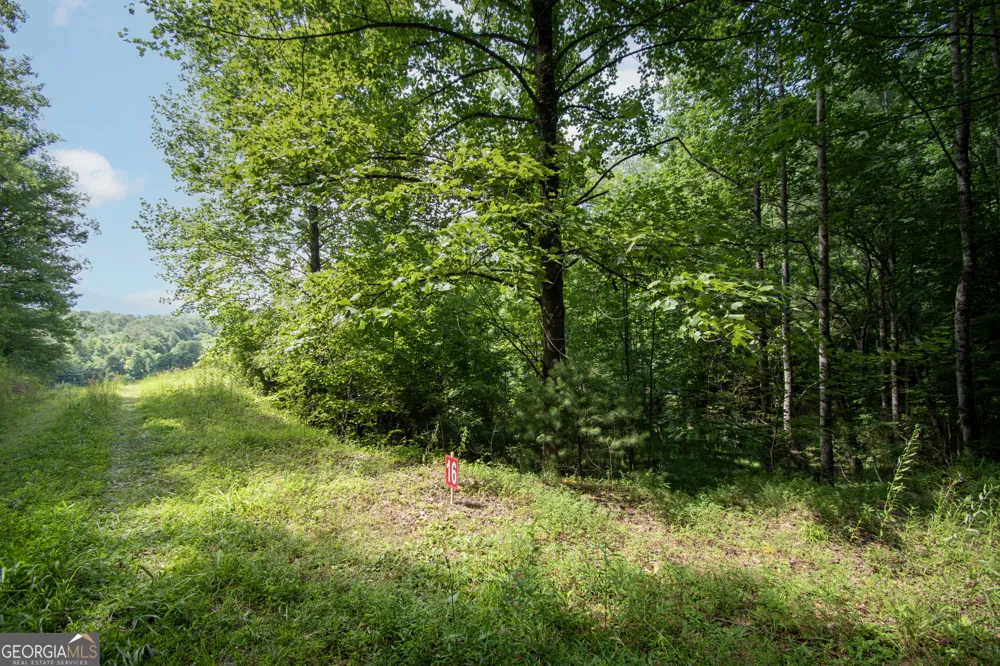 850 Bluff RD Marble, NC 28905