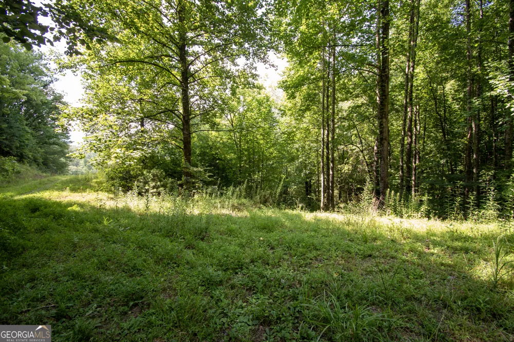 850 Bluff RD Marble, NC 28905