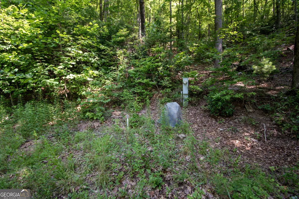 850 Bluff RD Marble, NC 28905
