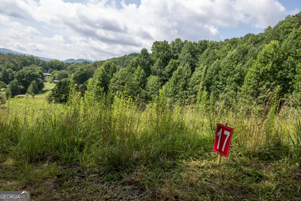 850 Bluff RD Marble, NC 28905