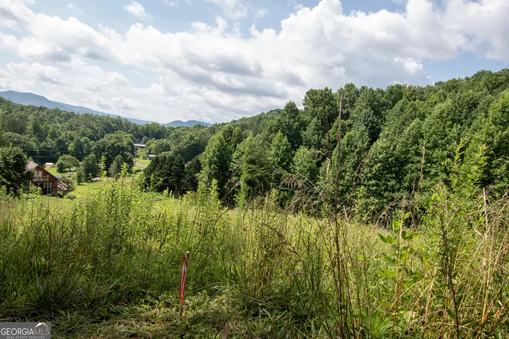 850 Bluff RD Marble, NC 28905