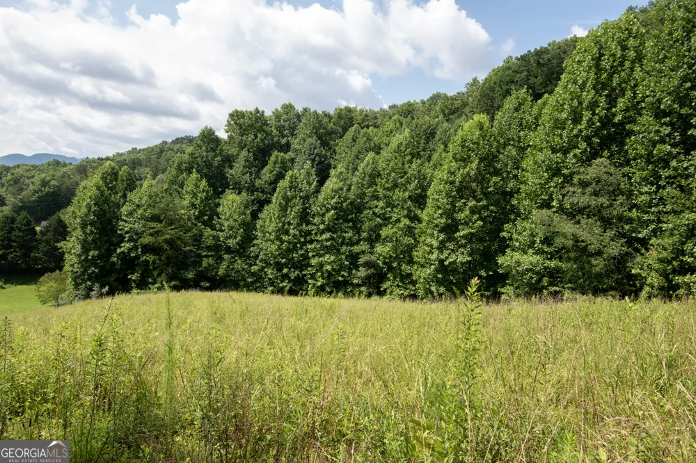 850 Bluff RD Marble, NC 28905