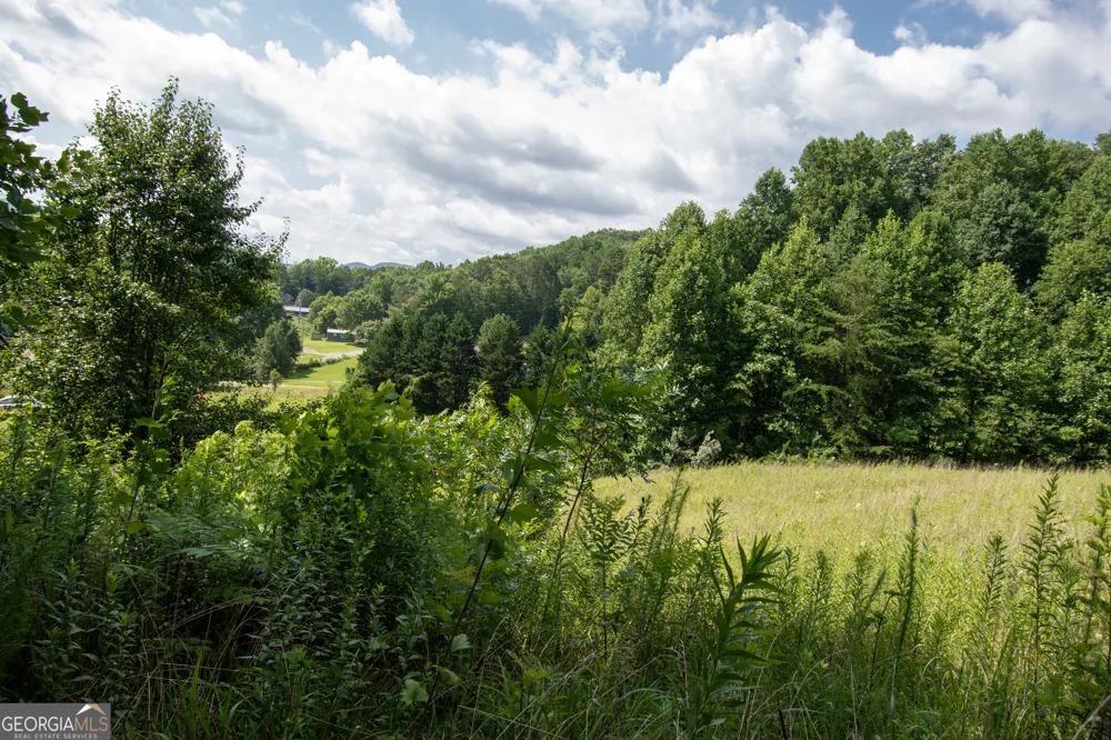 850 Bluff RD Marble, NC 28905
