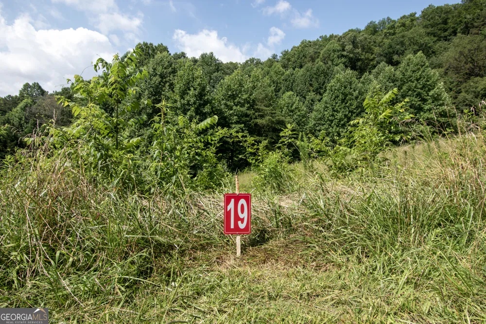 850 Bluff RD Marble, NC 28905